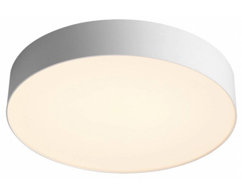 Накладной светильник Sonex Optima 7779/DL