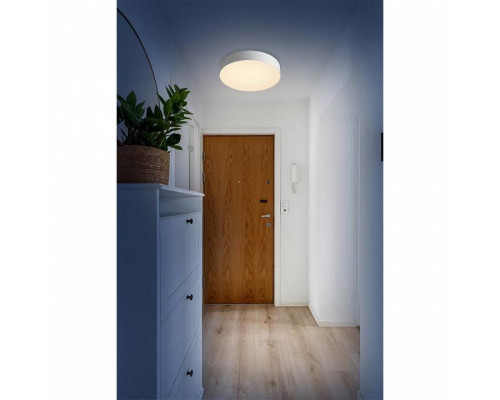 Накладной светильник Sonex Optima 7779/DL