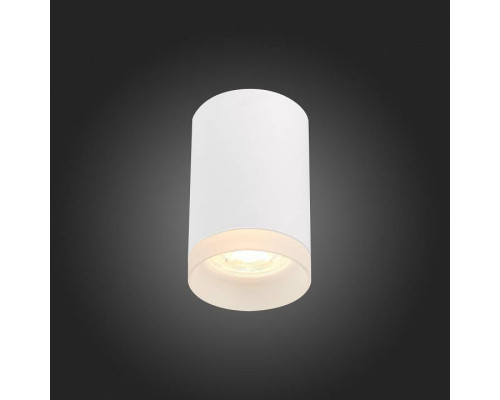 Накладной светильник ST-Luce ST100 ST100.502.01