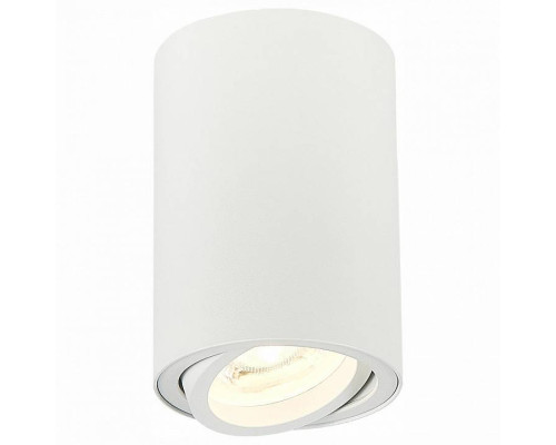 Спот ST-Luce Torus ST108.507.01