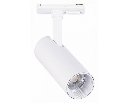 Светильник на штанге ST-Luce Mono ST350.546.10.24