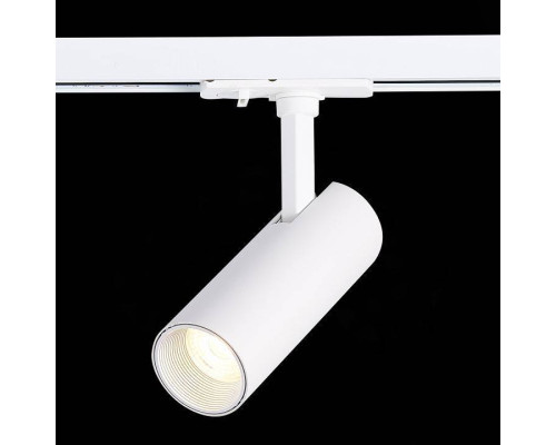 Светильник на штанге ST-Luce Mono ST350.546.10.24