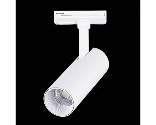 Светильник на штанге ST-Luce Mono ST350.546.10.24