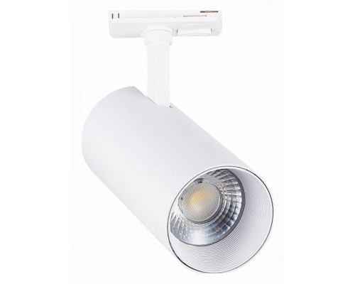 Светильник на штанге ST-Luce Mono ST350.546.30.24