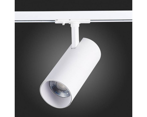 Светильник на штанге ST-Luce Mono ST350.546.30.24