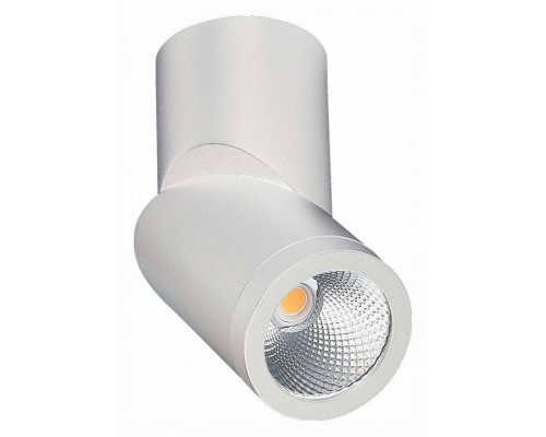 Светильник на штанге ST-Luce ST650 ST650.532.10