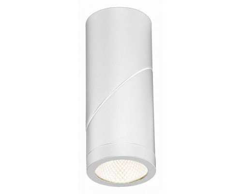 Светильник на штанге ST-Luce ST650 ST650.532.10