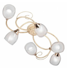 Потолочная люстра Vitaluce V3269 V3269-3/6PL