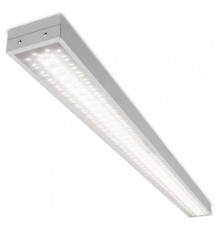 Накладной светильник WoltaPRO ГИМНАЗИСТ ДПО02-54-102-4К