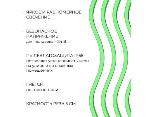 Шнур световой Apeyron Electrics  17-306