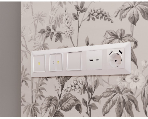 Накладка для розетки с заземлением и со шторками и 2хUSB type A Ambrella Volt Quant AP2090