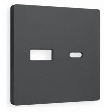 Накладка для розетки type A и C Ambrella Volt Quant AP9110