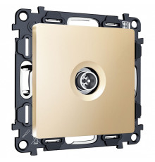 ТВ-розетка оконечная без рамки Ambrella Volt ALFA MA613005