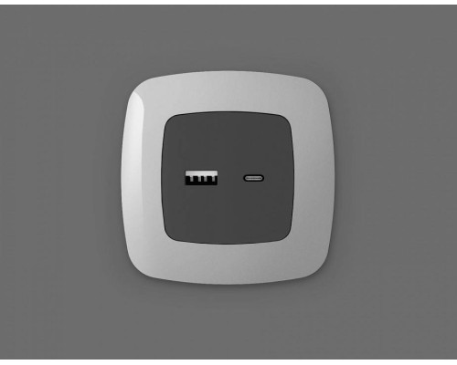 Накладка для розетки type A и C Ambrella Volt Quant OP9110