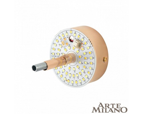 Накладной светильник Arte Milano AM-1252B 1.1252B.D150.H150.LED G