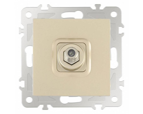 ТВ-розетка без рамки Arte Milano am-206 206.42-1.shampan