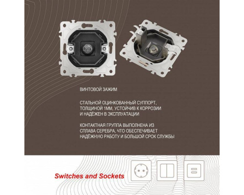 ТВ-розетка без рамки Arte Milano am-206 206.42-1.shampan