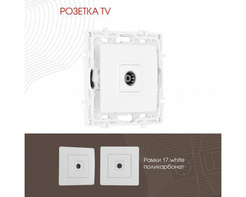 ТВ-розетка без рамки Arte Milano am-217 217.43-1.white