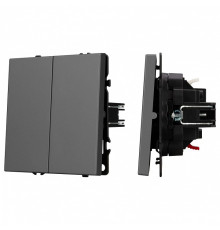 Выключатель двухклавишный без рамки Arlight SWT 054254