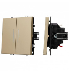 Выключатель двухклавишный без рамки Arlight SWT 054265