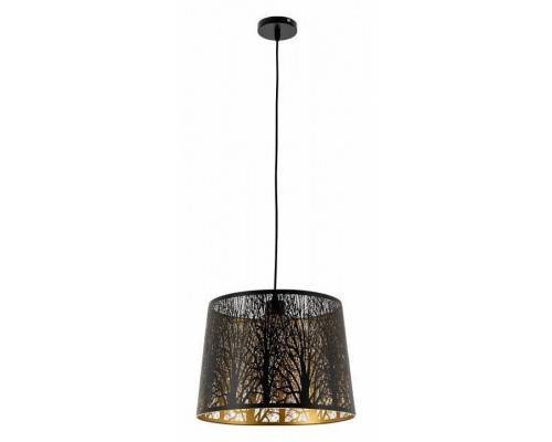 Подвесной светильник Arte Lamp Celesta A2769SP-1BK