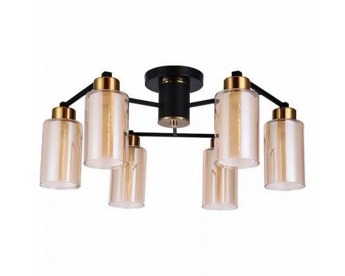 Потолочная люстра Arte Lamp Leo A7027PL-6BK