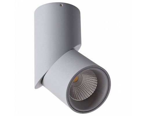 Накладной светильник Arte Lamp Orione A7717PL-1GY