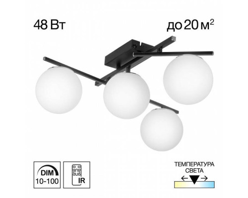 Потолочная люстра Citilux Dorsy CL223142