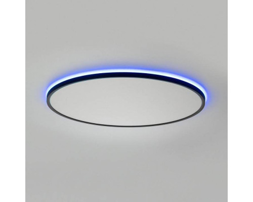 Накладной светильник Citilux NORMA CL749601