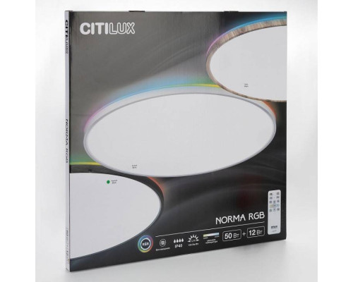 Накладной светильник Citilux NORMA CL749601