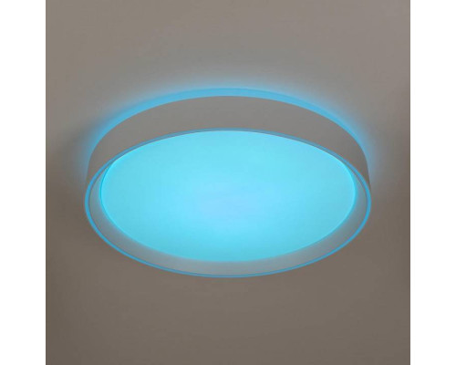 Накладной светильник Citilux BOSS CL751350G