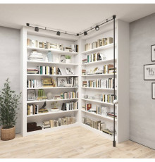 Комплект трековый Denkirs Belty SET DK55SET15-01-DG