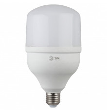 Лампа светодиодная Эра Стандарт LED POWER T120-40W-6500-E27