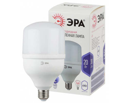 Лампа светодиодная Эра  LED POWER T80-20W-6500-E27