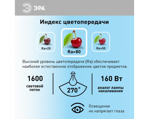 Лампа светодиодная Эра  LED POWER T80-20W-6500-E27