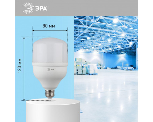 Лампа светодиодная Эра  LED POWER T80-20W-6500-E27