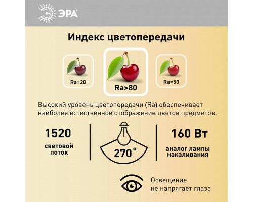 Лампа светодиодная Эра Стандарт LED A65-19W-840-E27