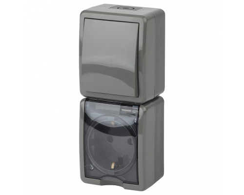 Блок с розеткой и выключателем Эра Эра Эксперт 11-7407-03