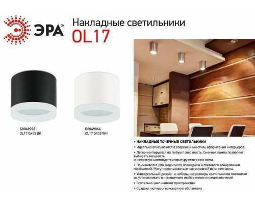 Накладной светильник Эра OL17 GX53 BK Б0049028