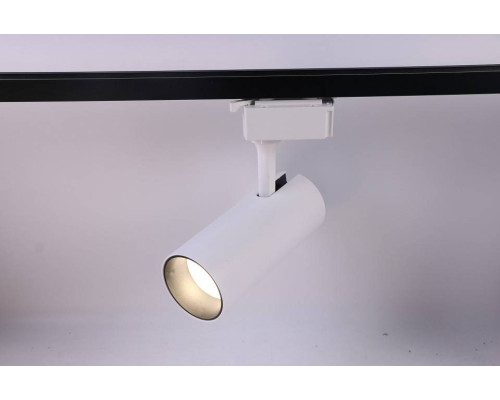 Светильник на штанге Эра  TR5-20 COB WH