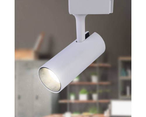 Светильник на штанге Эра  TR5-20 COB WH