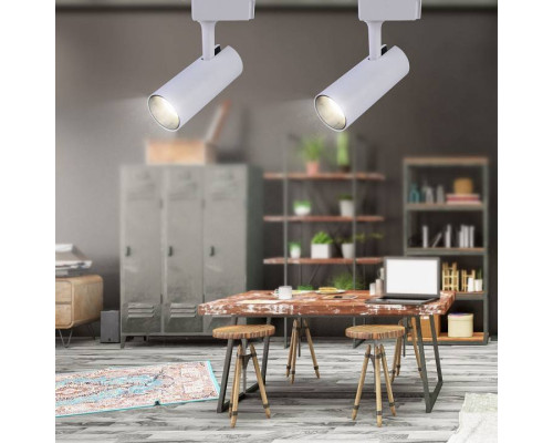 Светильник на штанге Эра  TR5-20 COB WH