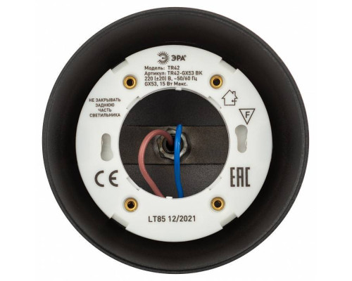 Светильник на штанге Эра  TR42-GX53 BK