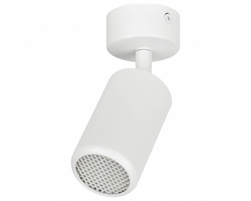 Спот Эра  OL55 WH