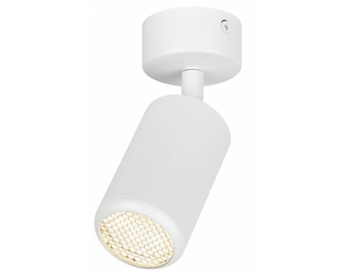 Спот Эра  OL55 WH