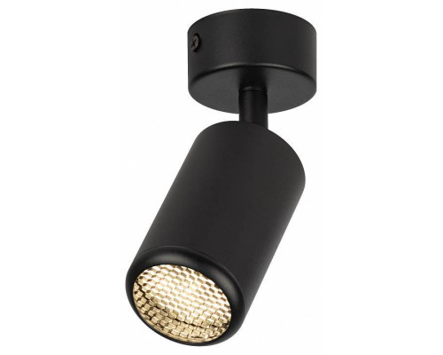 Спот Эра  OL55 BK