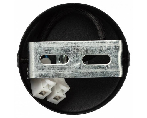 Спот Эра  OL55 BK