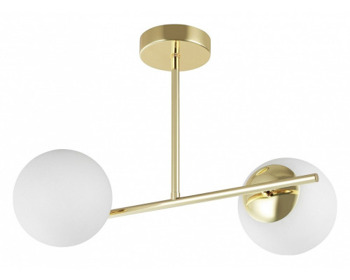 Светильник на штанге Lampit LEDO TP 2011-2 GD