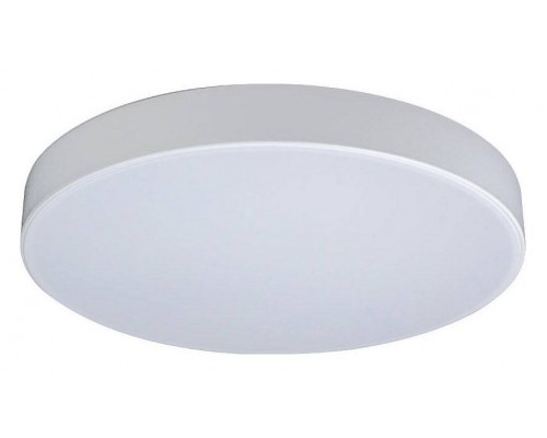 Накладной светильник Loft it Axel 1 10002/24 White