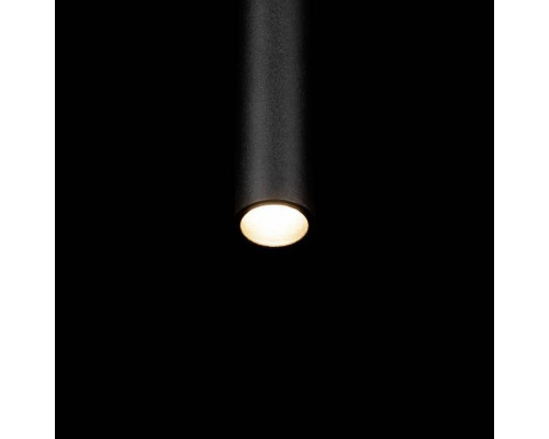 Подвесной светильник Loft it Metropolis 10334/300 Black